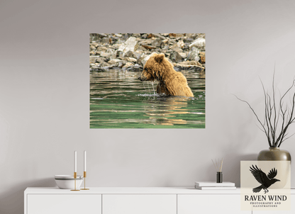 34 x 28″, ChromaLuxe HD Metal Print - ready to hang Eye on the Prize Nature Photography Print