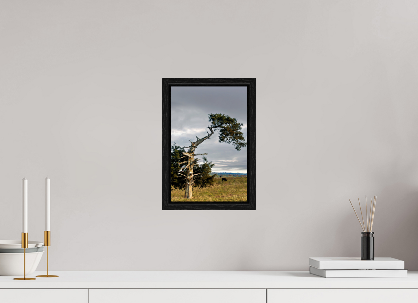 Still Standing - The Cedar That Weathered It All