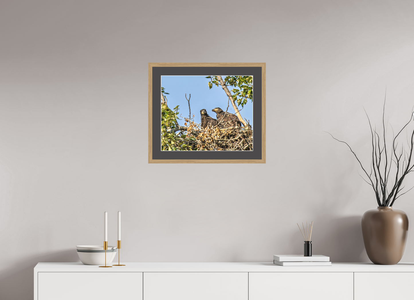 Nestmates – Young Eagles in a Woodland Home – Nature Photography Print