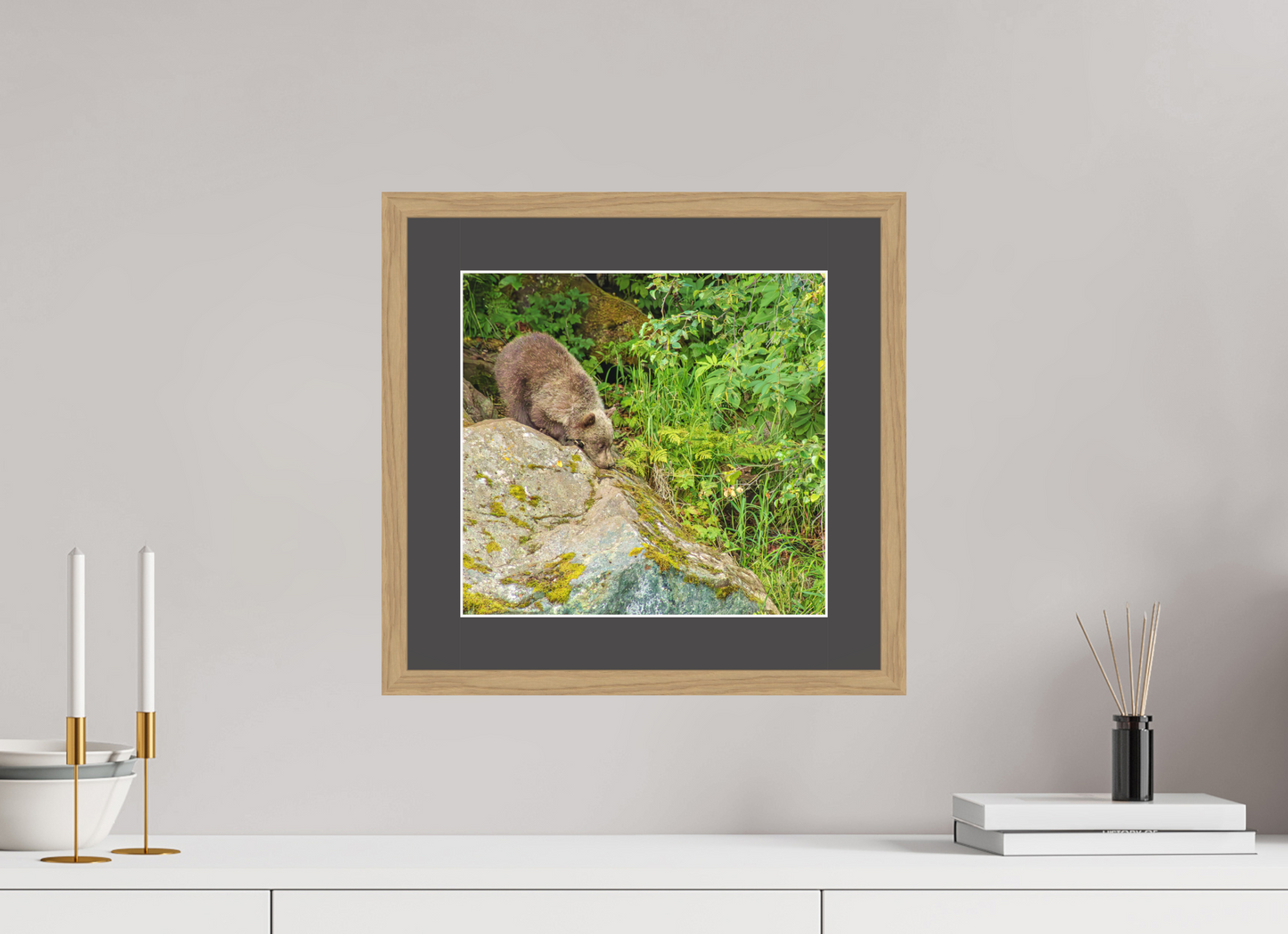 Learning the Ropes Nature Photography Print