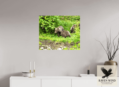 29.2 x 24″, Print on Canvas - ready to hang or set on a shelf Brown Bear Triplets Nature Photography Print