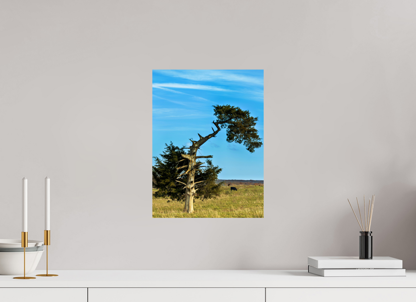 12 x 16″, Photo Print On Fuji Crystal DP II - unframed Still Standing and Reaching for the Sky Nature Photography Print