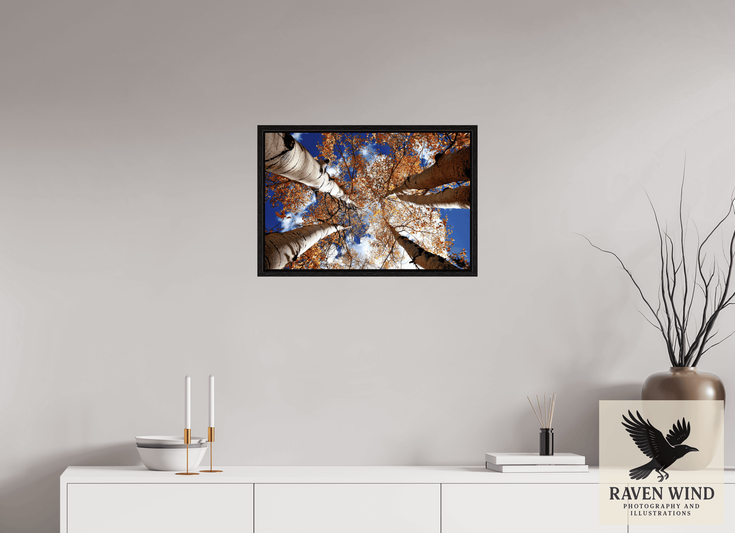 24 x 16″, Floater Frame - black oak frame - ready to hang Reaching for the Sky - Aspens in the Fall Nature Photography Print