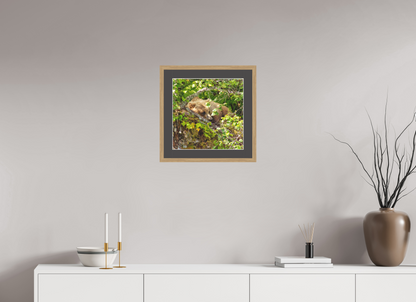 Hide and Peek Nature Photography Print