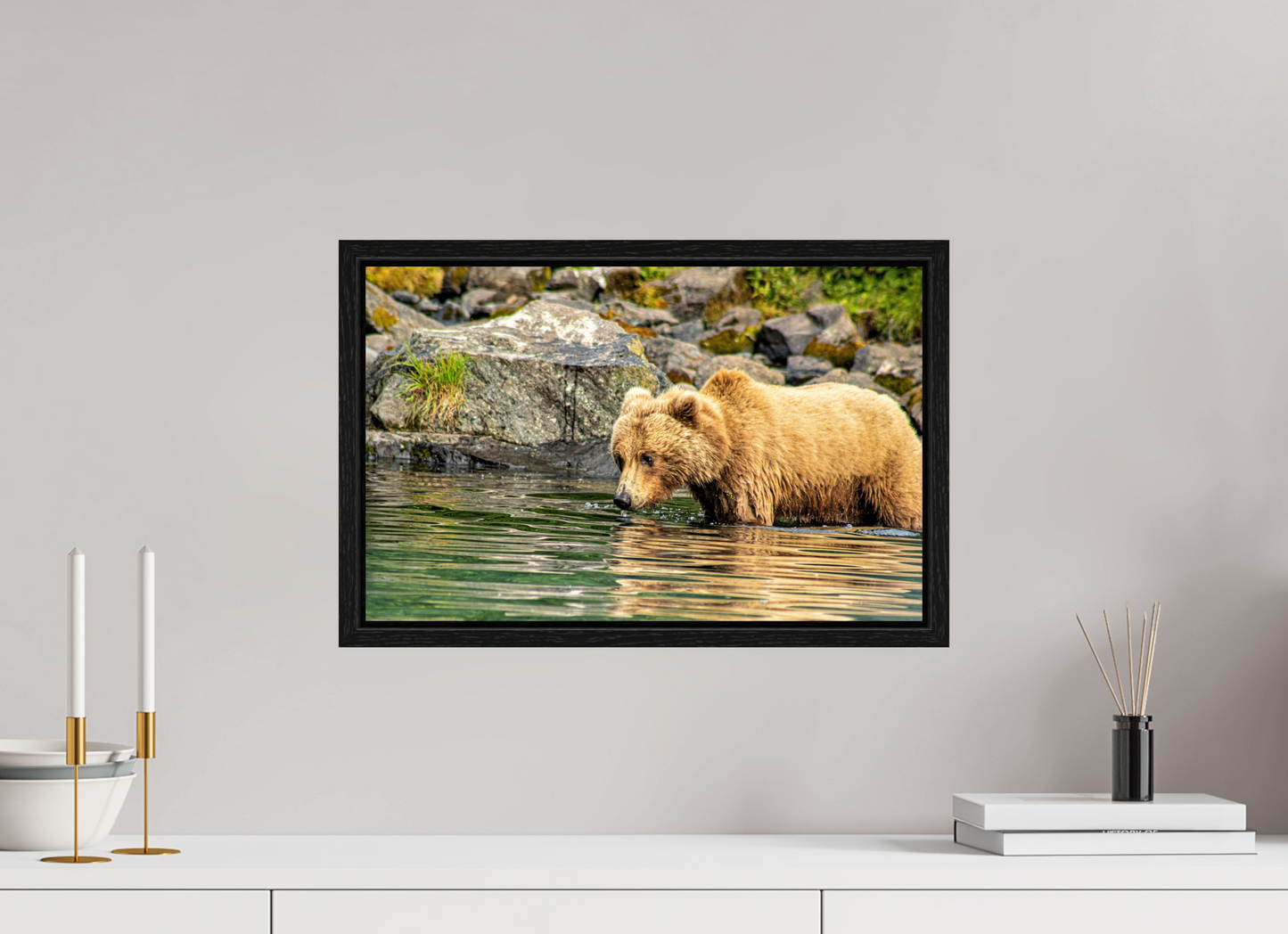 Wild Focus Nature Photography Print