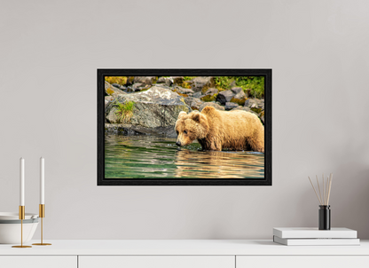 Wild Focus Nature Photography Print