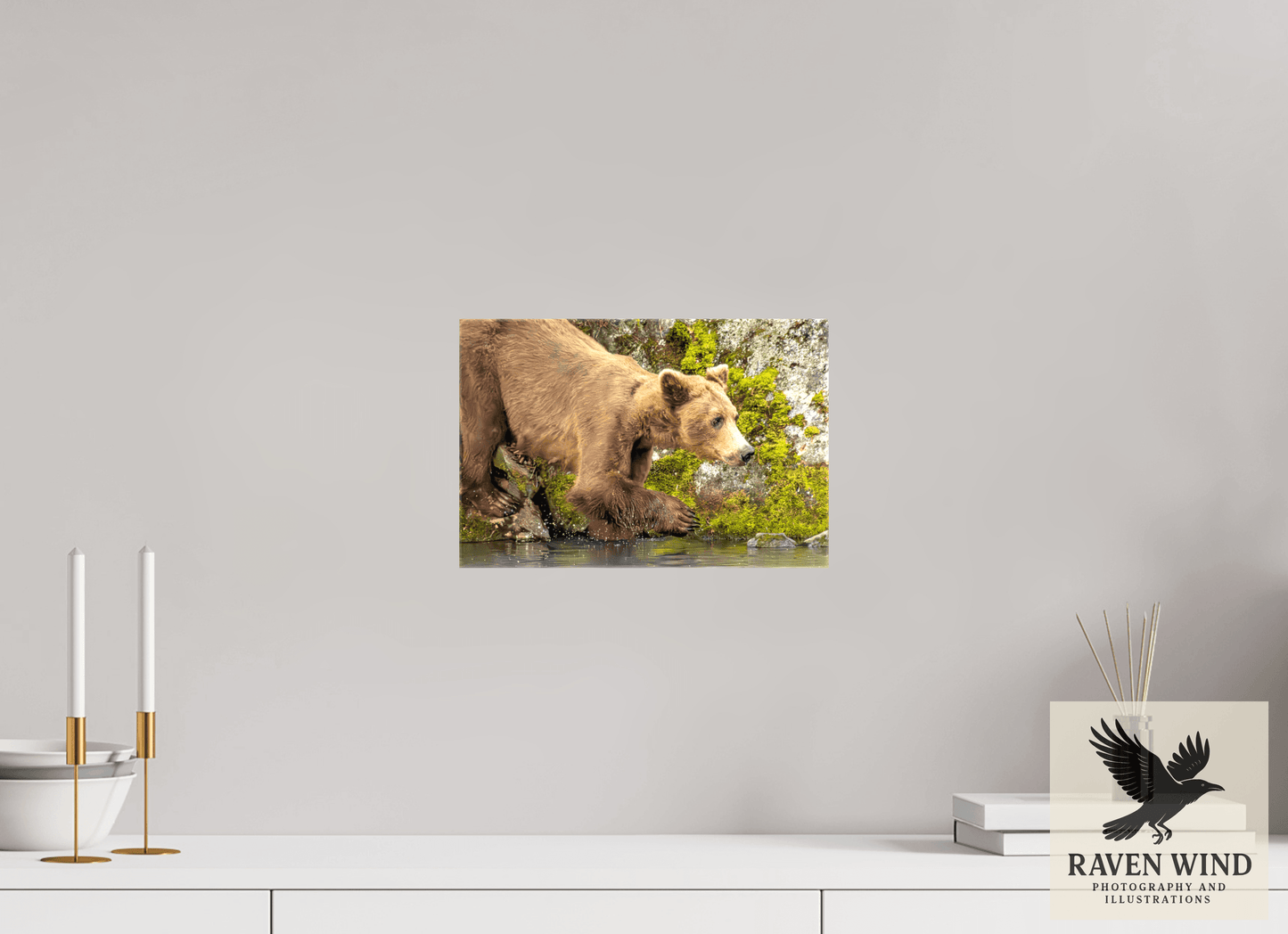 12 x 8″, Print on Canvas - ready to hang or set on a shelf Testing the Waters Nature Photography Print