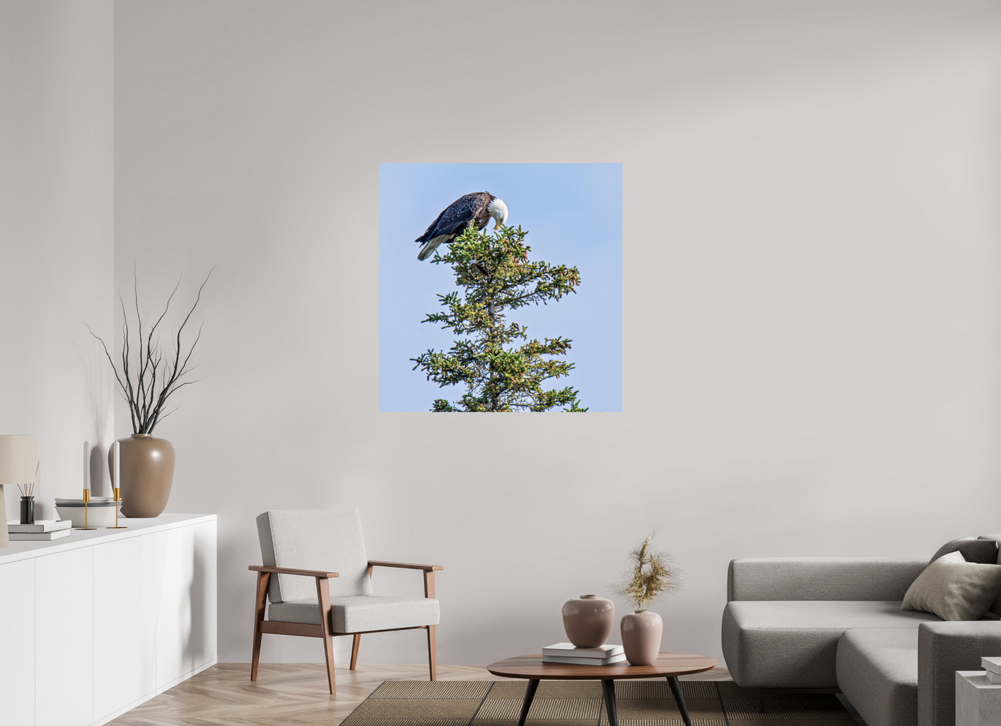 Silent Sentinel – Bald Eagle in Alaska’s Pines Nature Photography Print