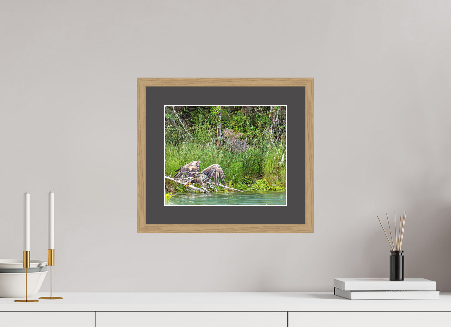 Skimming the Wild – Juvenile Bald Eagle Over the Kasilof River, Nature Photography Print