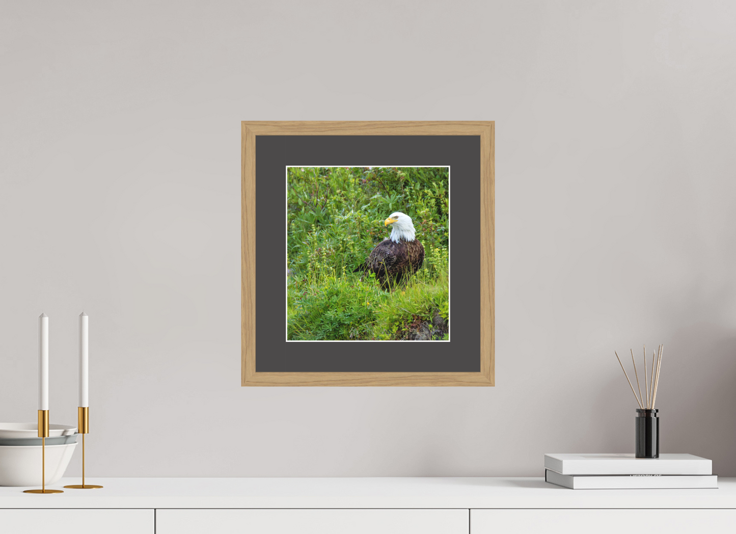 Grounded Majesty – Bald Eagle in Alaska’s Wilderness Nature Photography Print