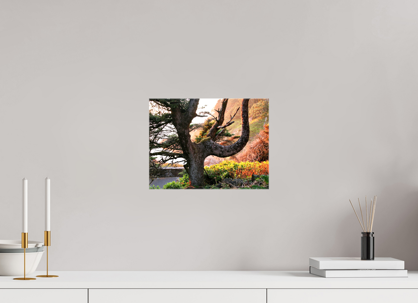 Sunset Glow Fine Art Nature Photography Print