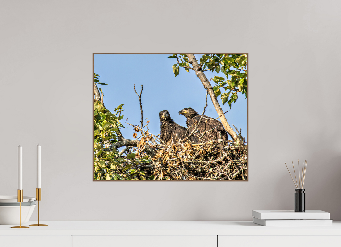 Nestmates – Young Eagles in a Woodland Home – Nature Photography Print