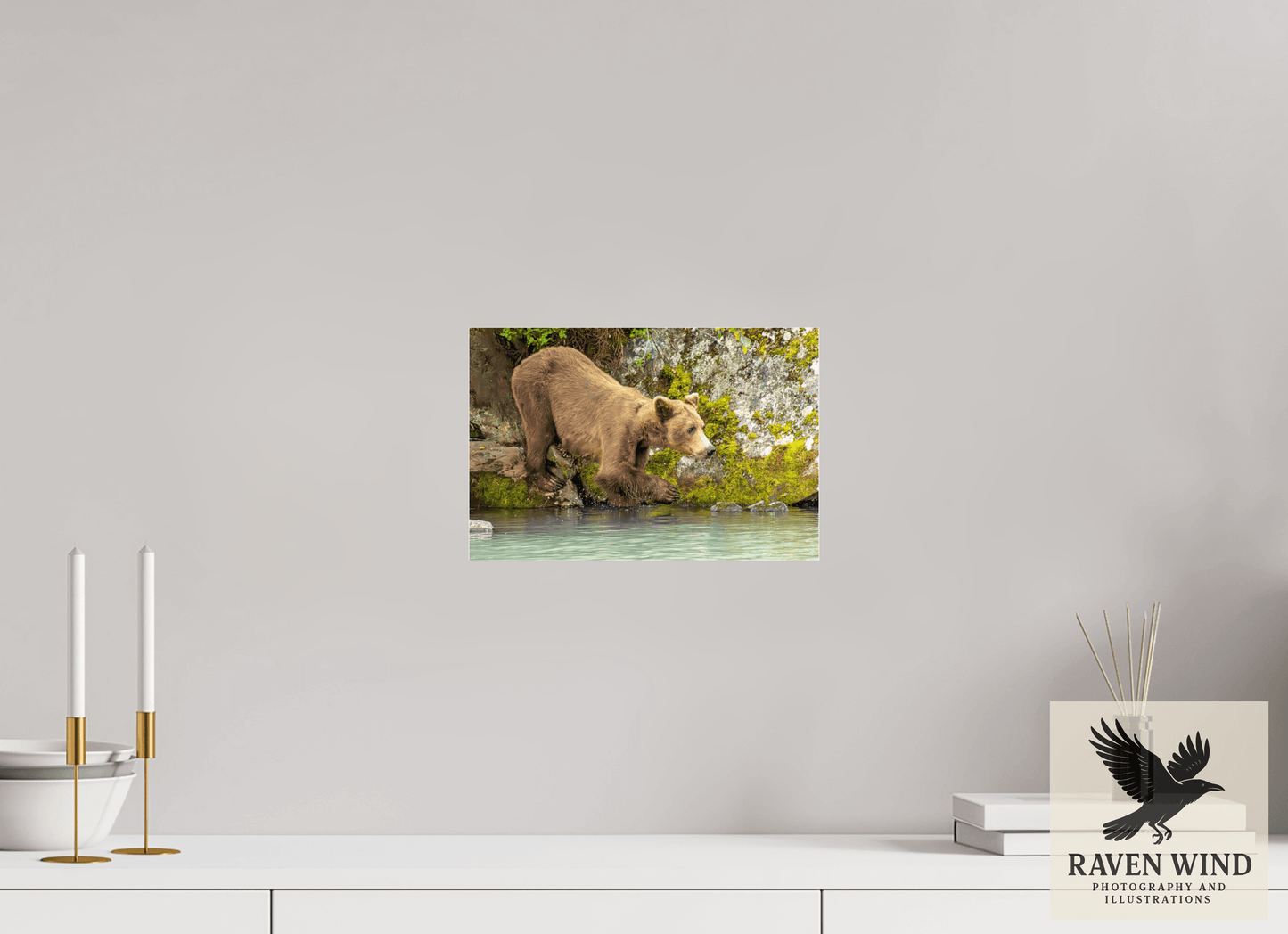 12 x 8″, Photo Print Under Acrylic Glass - ready to hang Testing the Waters Nature Photography Print