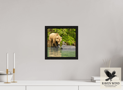 10 x 10″, Floater Frame - black oak frame - ready to hang That's a miss! Nature Photography Print