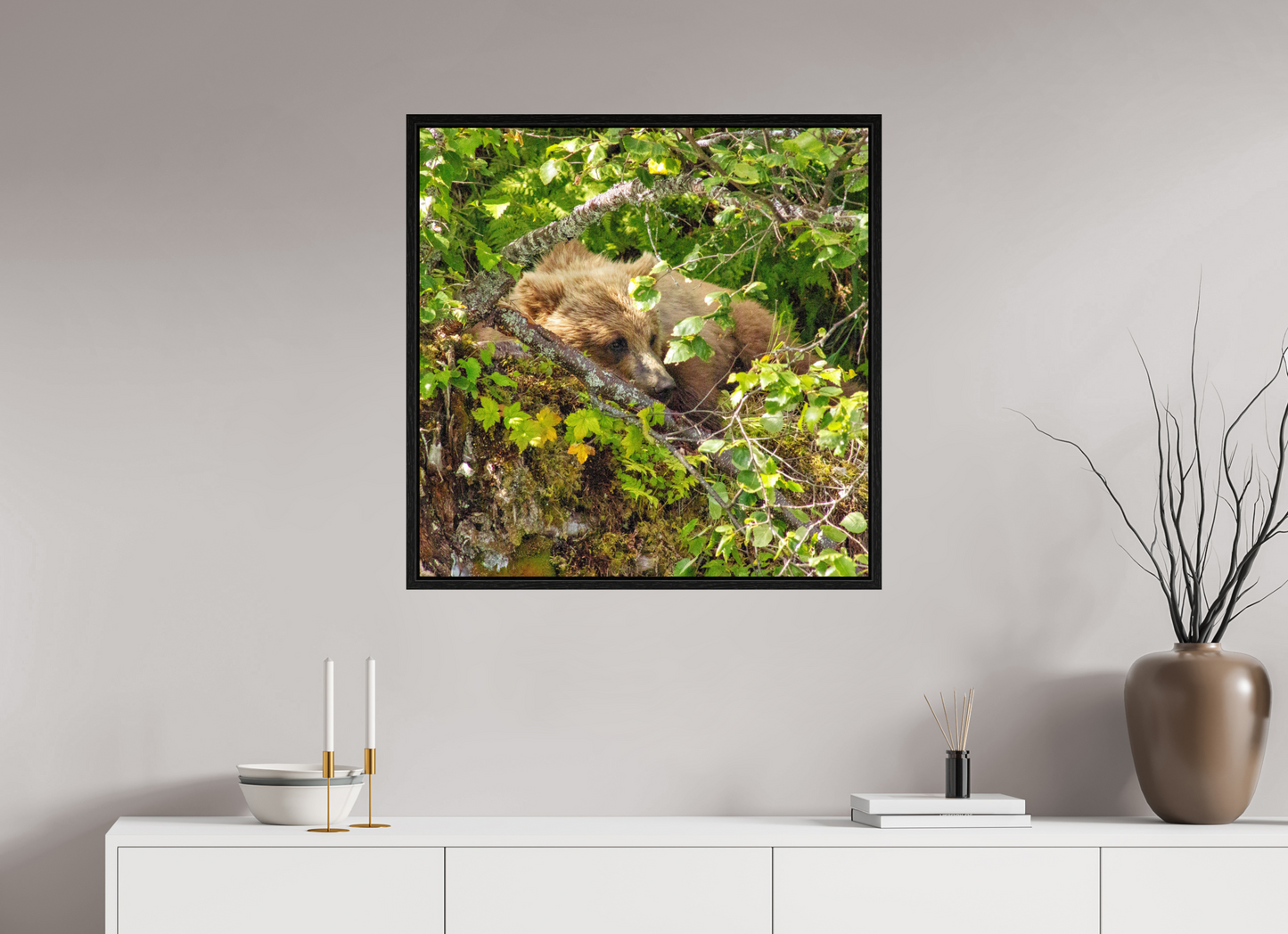 Hide and Peek Nature Photography Print