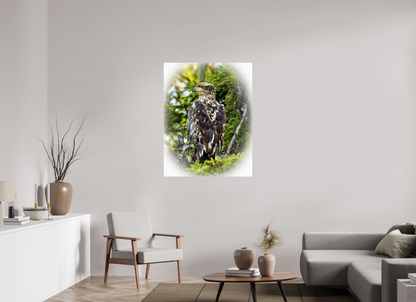 Forest Watch – Young Eagle Among the Pines Nature Photography Print