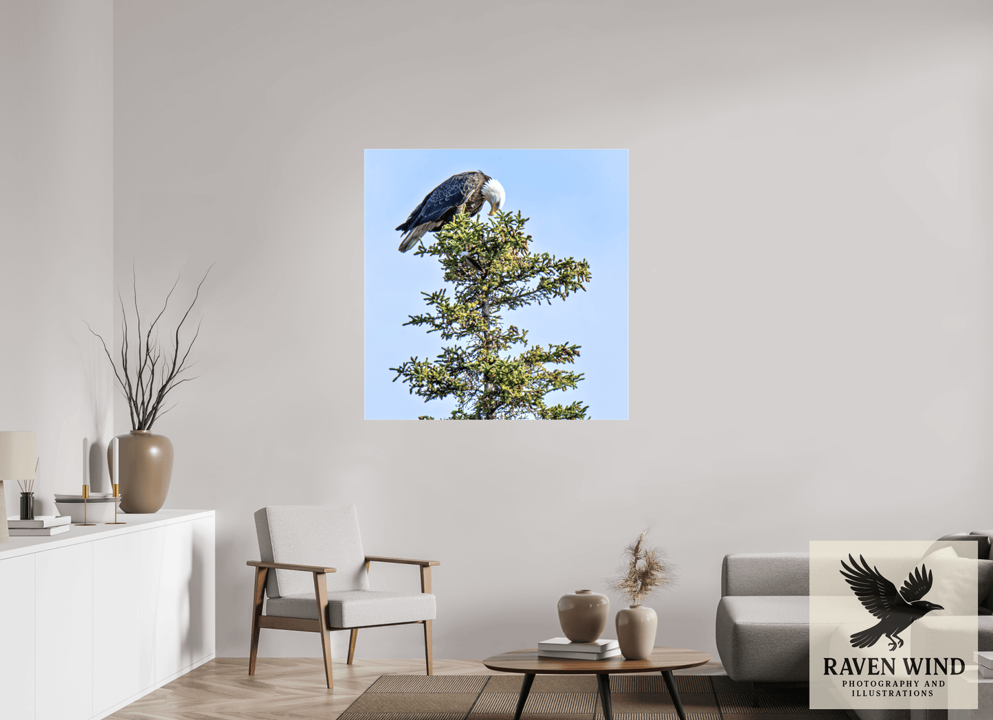 43 x 44.1″, Print on Canvas - ready to hang or set on a shelf Silent Sentinel - Bald Eagle in Alaska's Pines Nature Photography Print
