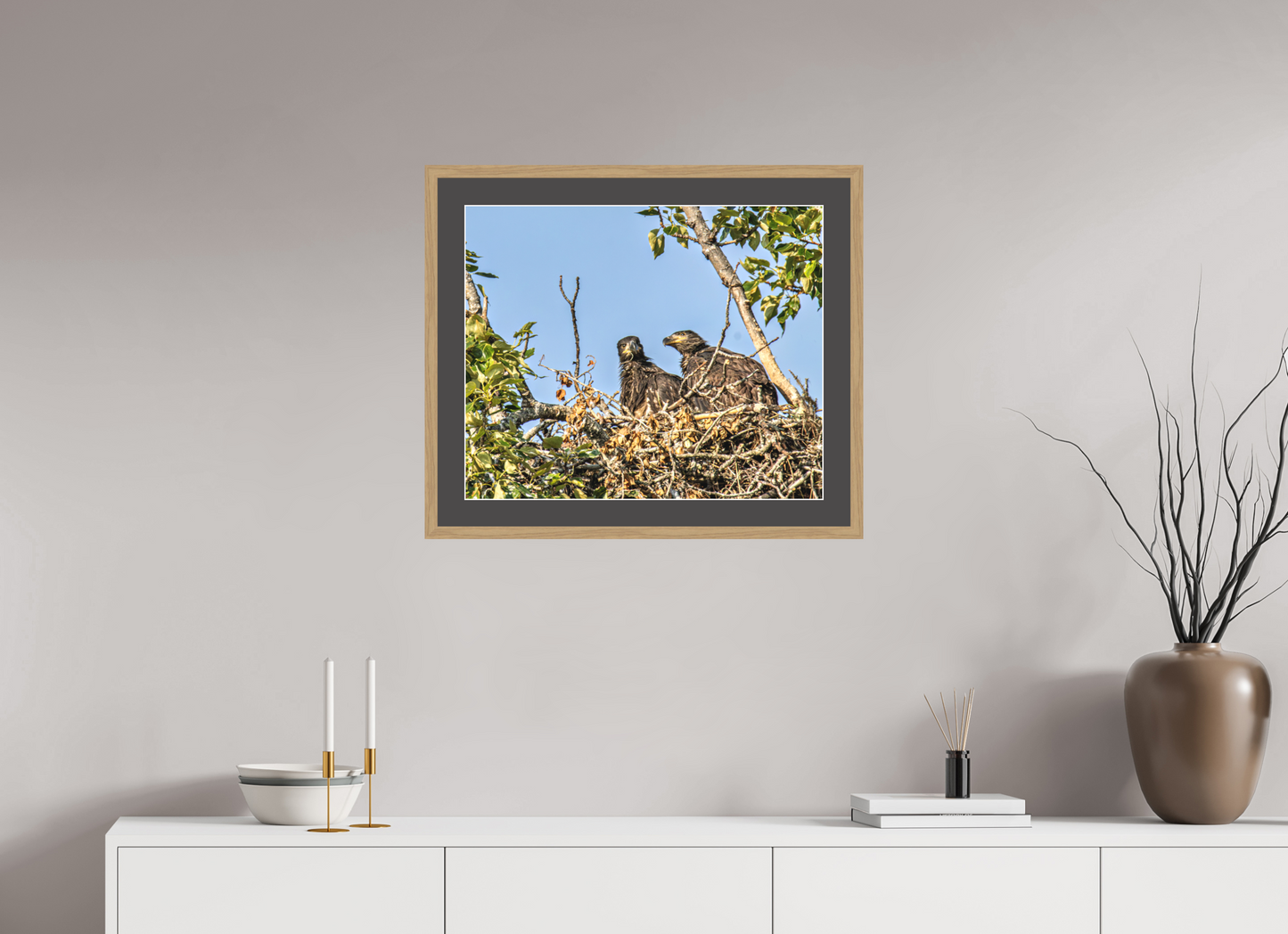Nestmates – Young Eagles in a Woodland Home – Nature Photography Print