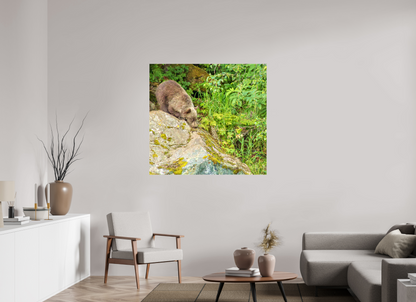 Learning the Ropes Nature Photography Print