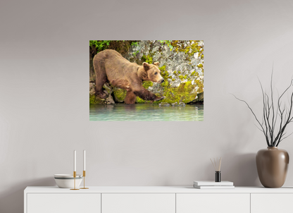 Momma on a Mission Nature Photography Print