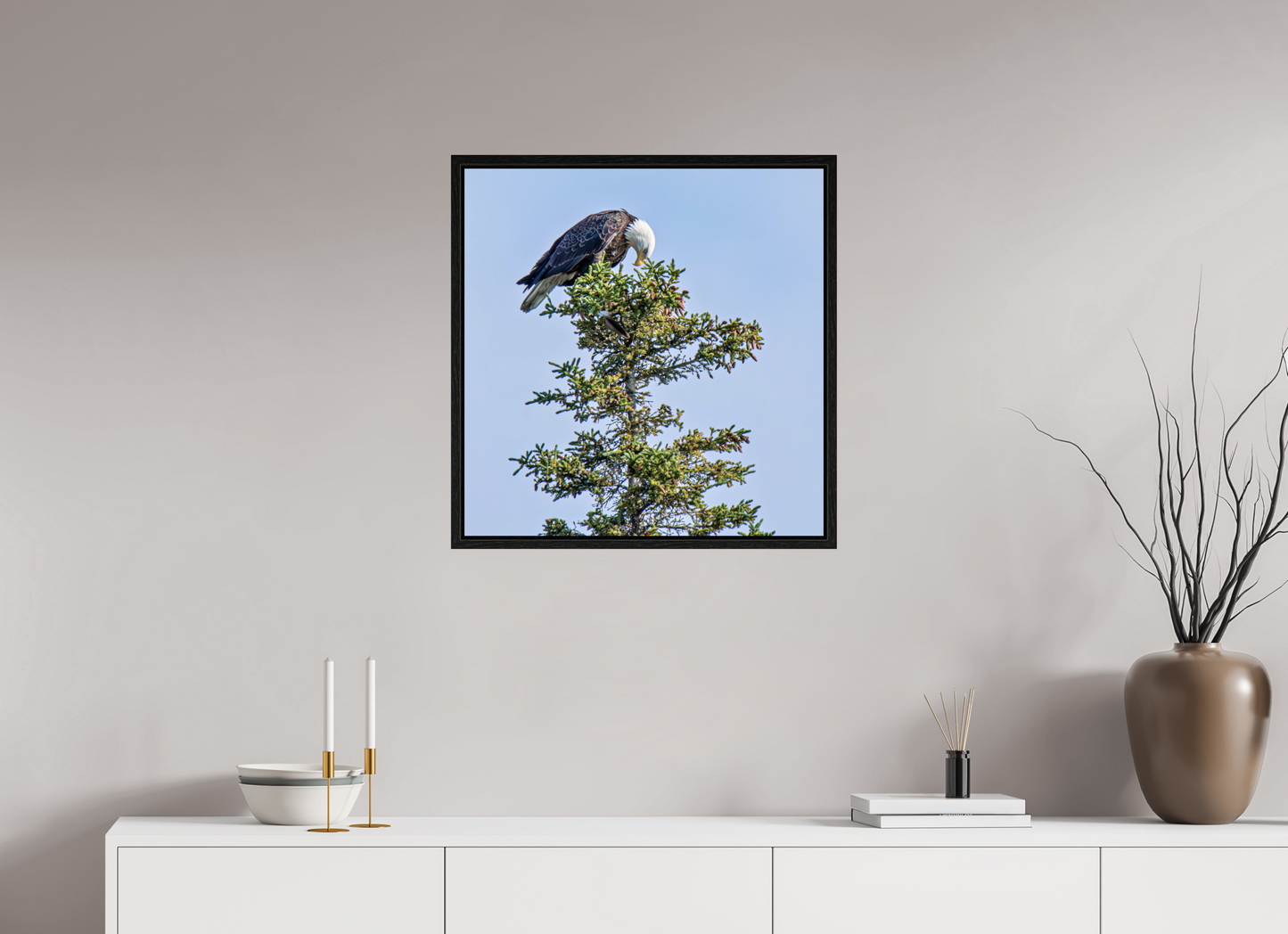 Silent Sentinel – Bald Eagle in Alaska’s Pines Nature Photography Print