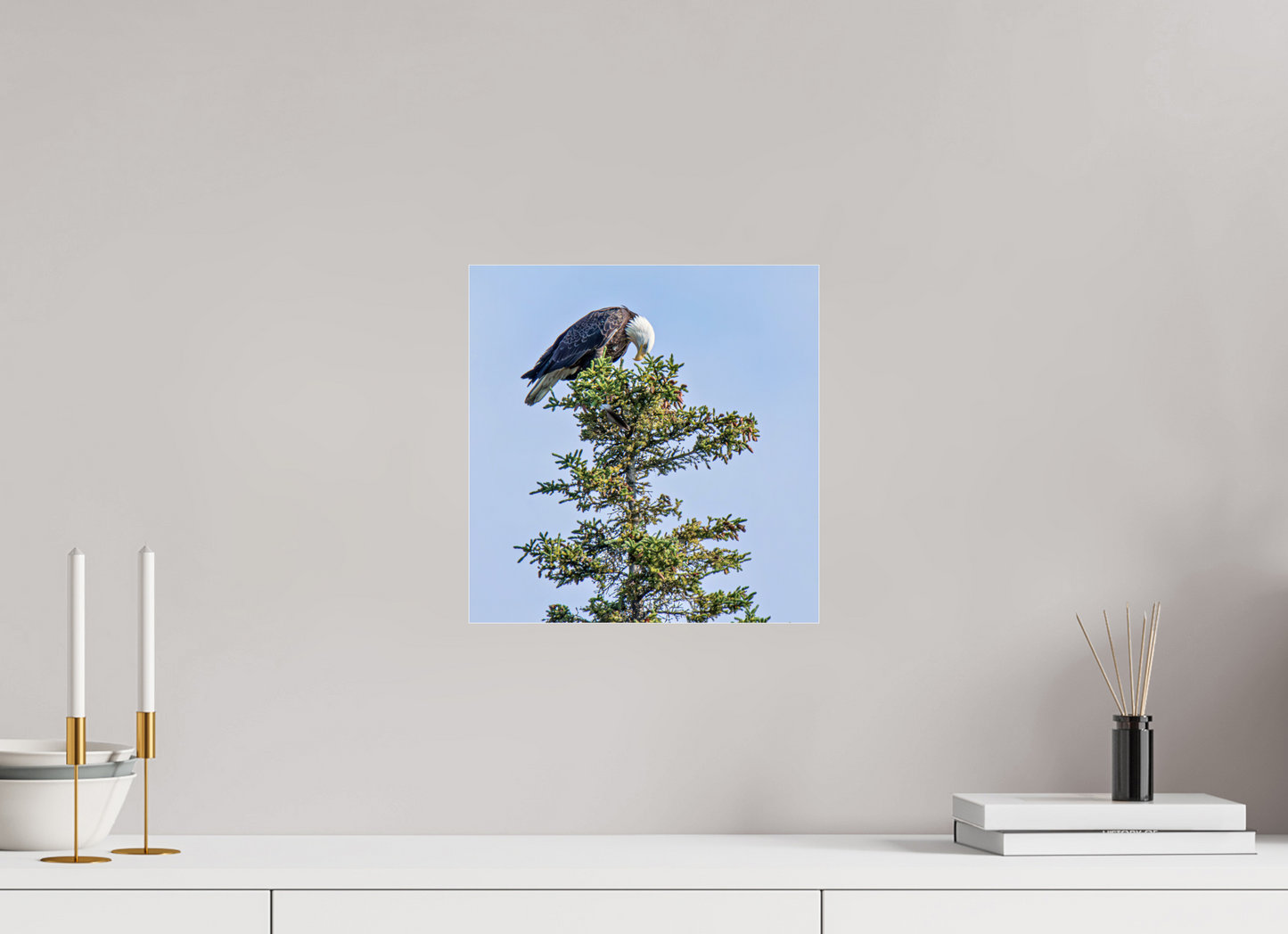 Silent Sentinel – Bald Eagle in Alaska’s Pines Nature Photography Print