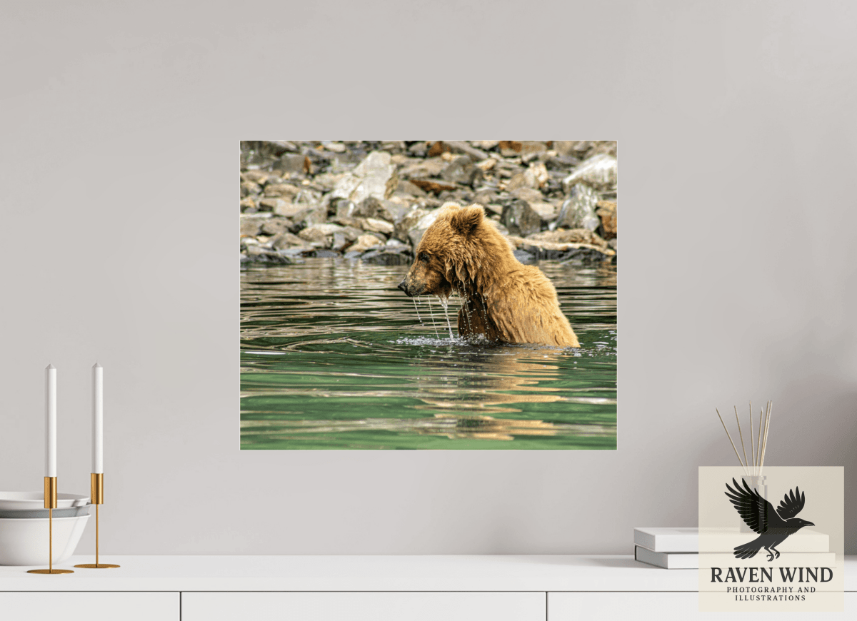 Raven Wind Photography & Illustrations-Eye on the Prize Fine Art Wildlife Photography Print -