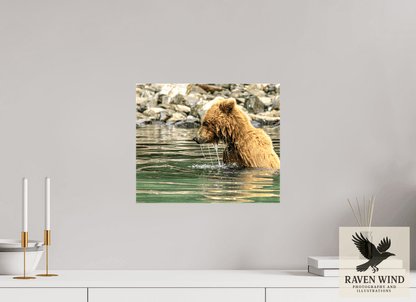 Raven Wind Photography & Illustrations-Eye on the Prize Fine Art Wildlife Photography Print -