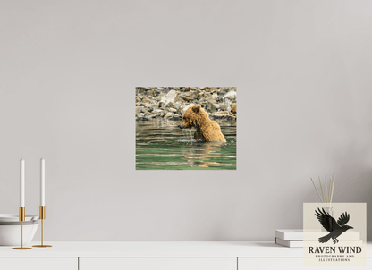 Raven Wind Photography & Illustrations-Eye on the Prize Fine Art Wildlife Photography Print -