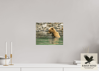 Raven Wind Photography & Illustrations-Eye on the Prize Fine Art Wildlife Photography Print -