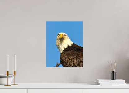 Eyes of the Wild – Bald Eagle in Alaska’s Wilderness Nature Photography Print