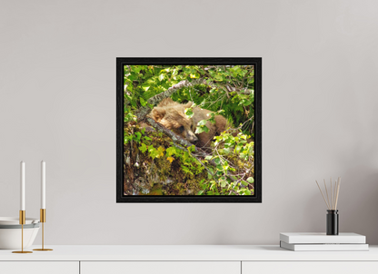 Hide and Peek Nature Photography Print