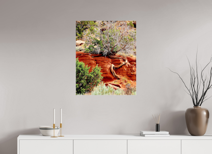 Resilient Roots – Twisted Tree in Red Rock Desert Fine Art Print