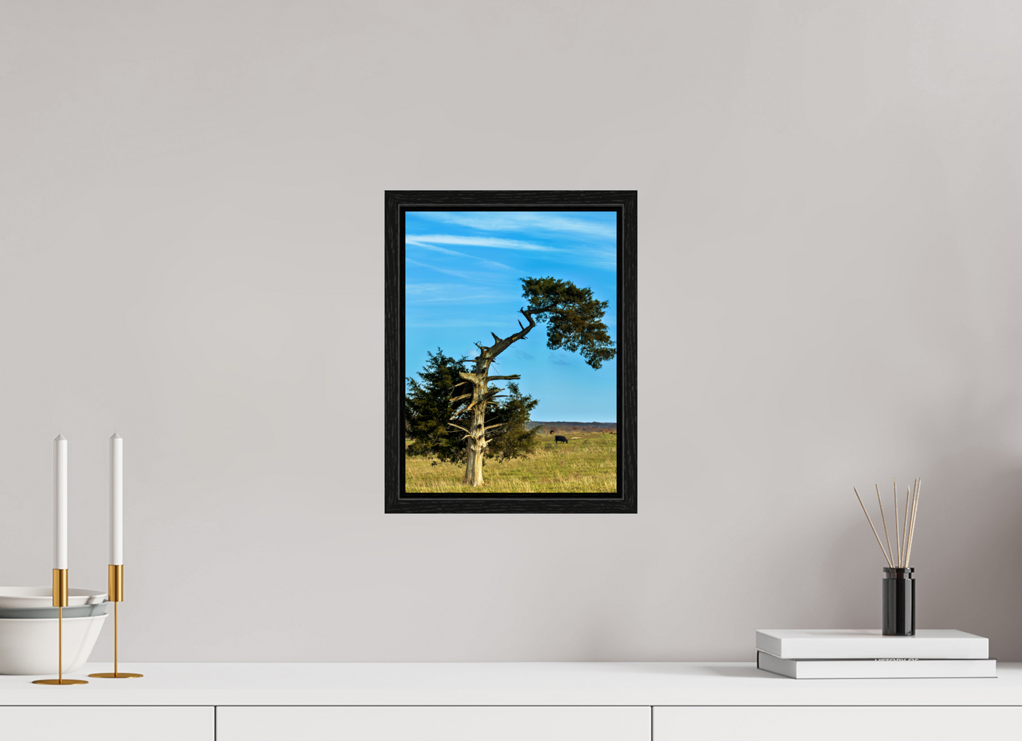 Still Standing – The Cedar That Reached for the Sky