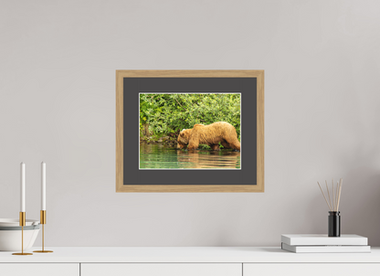 Fishing Takes Patience Nature Photography Print