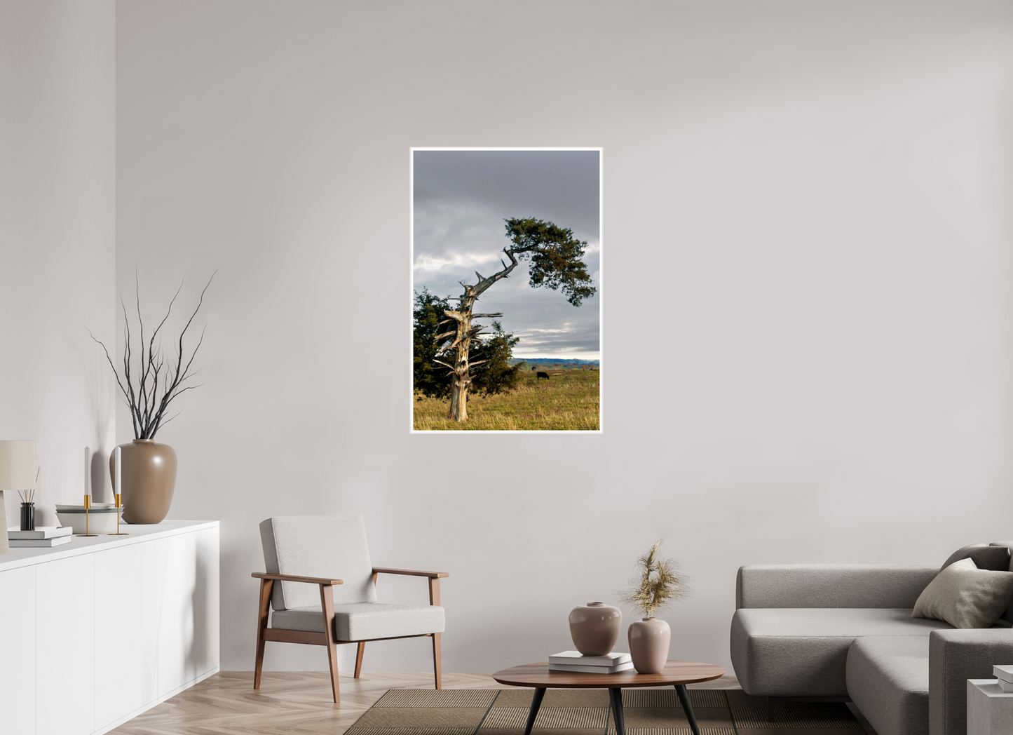Still Standing - The Cedar That Weathered It All