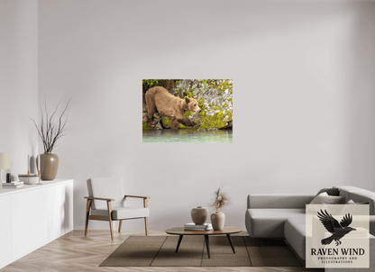 49.7 x 35″, Photo Print Under Acrylic Glass - ready to hang Momma on a Mission Nature Photography Print