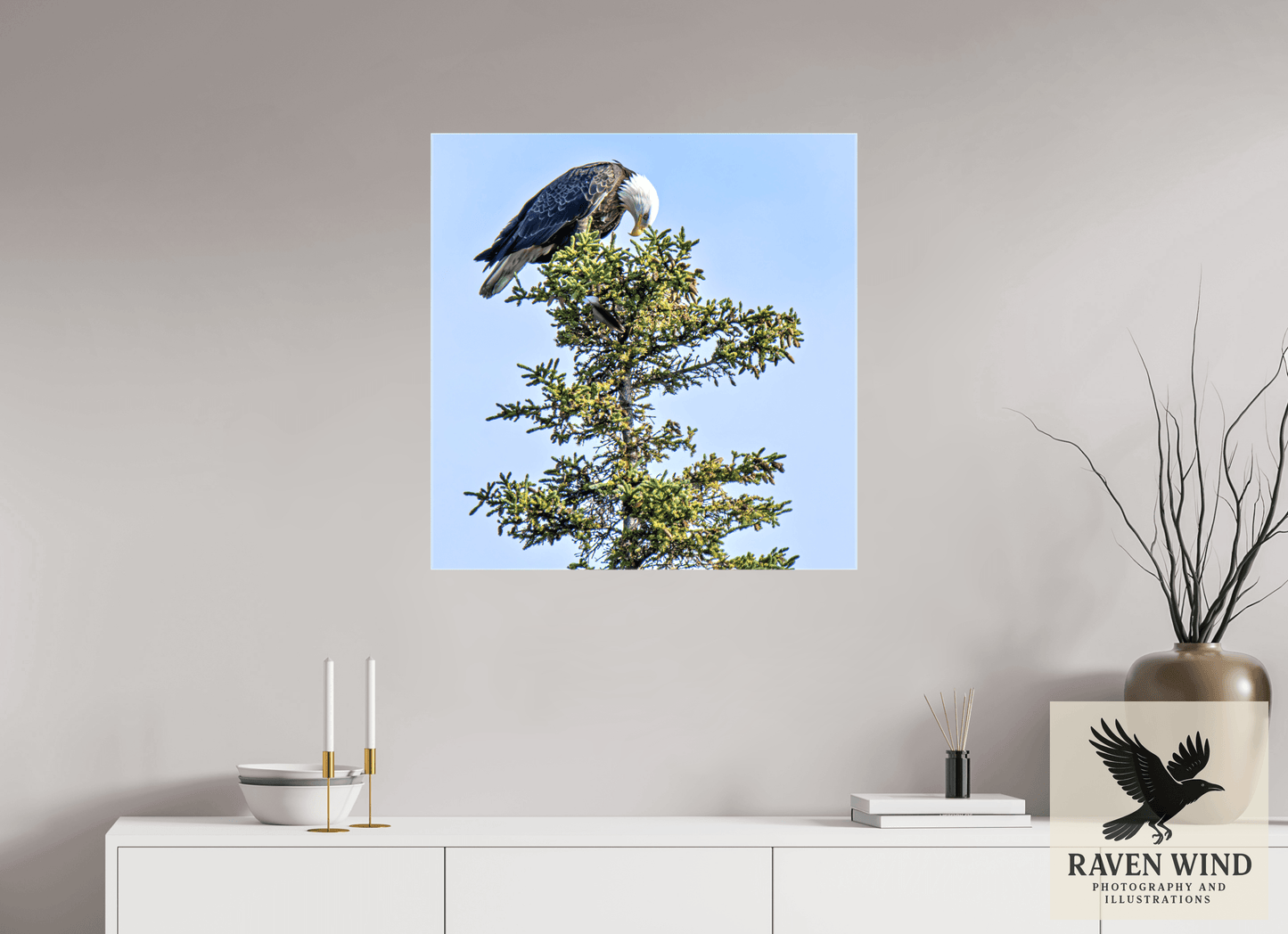 28 x 28.7″, Print on Canvas - ready to hang or set on a shelf Silent Sentinel - Bald Eagle in Alaska's Pines Nature Photography Print