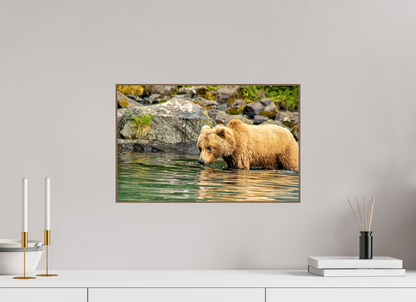Wild Focus Nature Photography Print