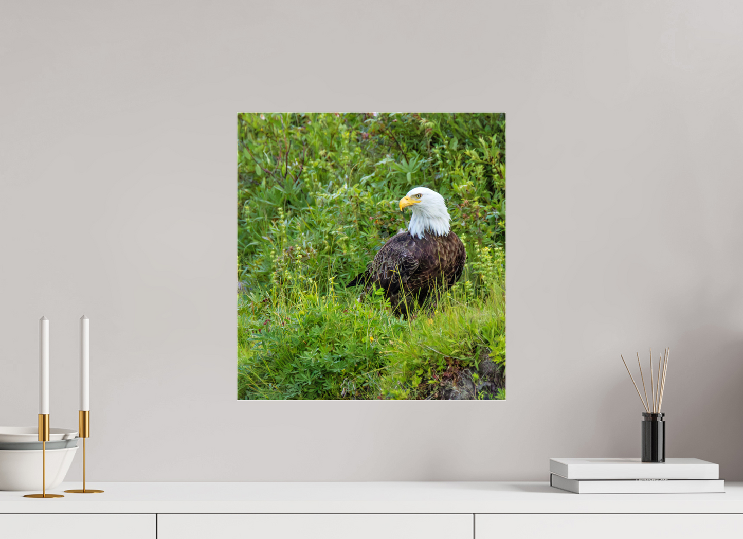 Grounded Majesty – Bald Eagle in Alaska’s Wilderness Nature Photography Print