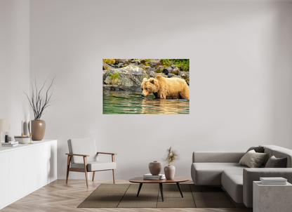 Wild Focus Nature Photography Print