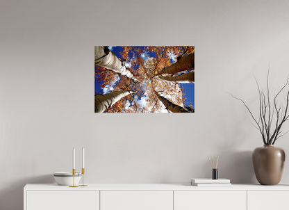 Reaching for the Sky – Where Aspens Whisper to the Clouds Nature Photography Print