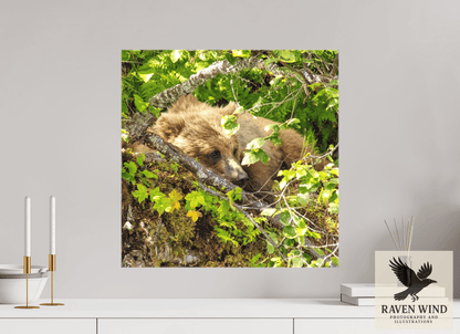 20 x 20″, Print on Canvas - ready to hang or set on a shelf Hide and Peek Nature Photography Print