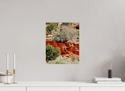 Resilient Roots – Twisted Tree in Red Rock Desert Fine Art Print