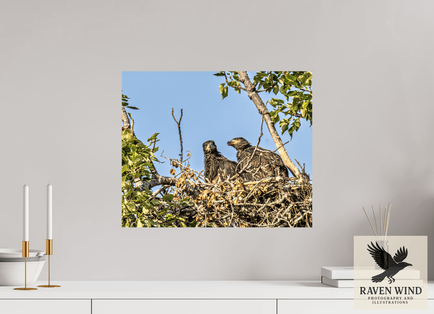 19.4 x 16″, ChromaLuxe HD Metal Print - ready to hang Nestmates - Young Eagles in a Woodland Home Nature Photography Print
