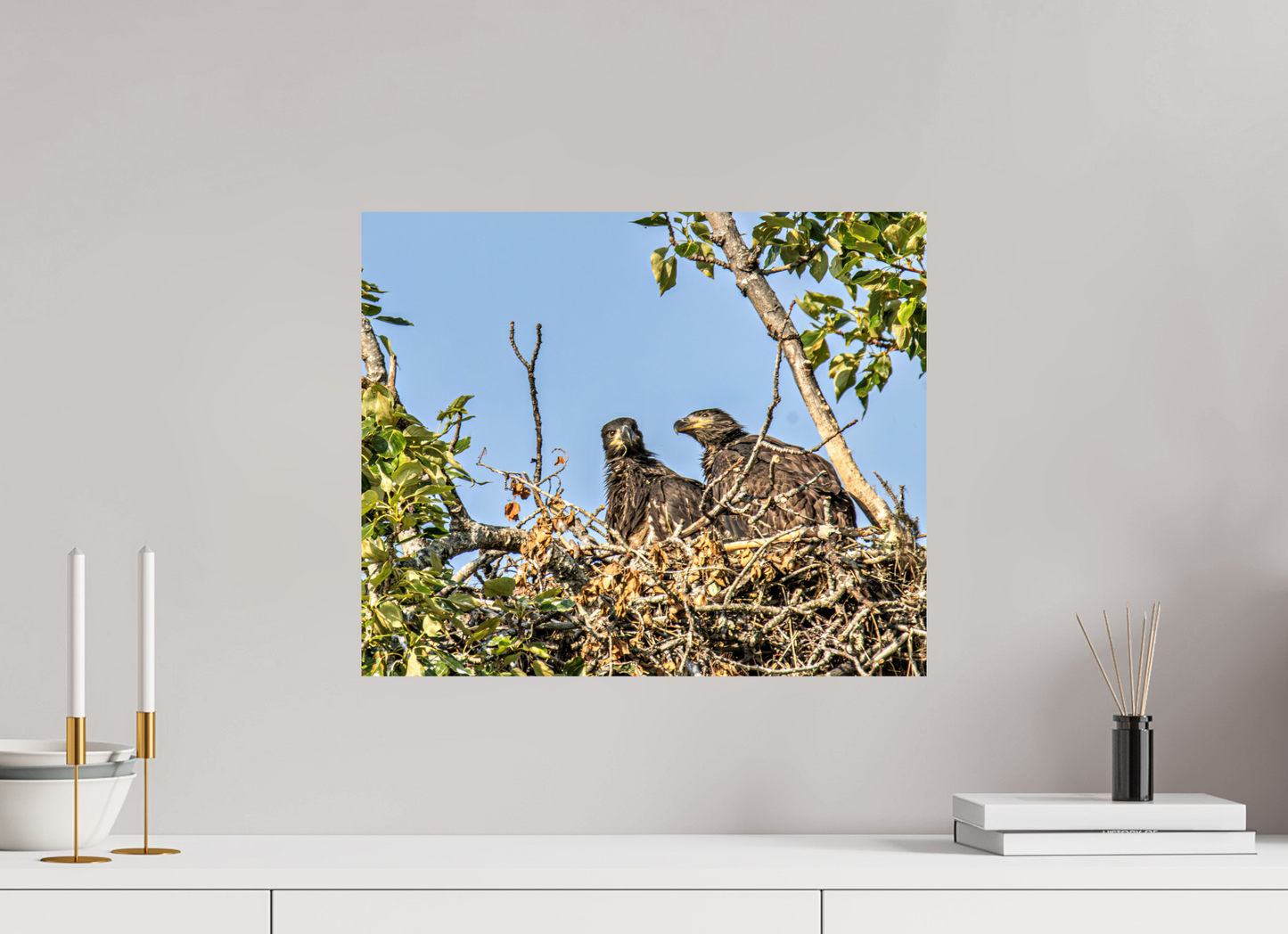 Nestmates – Young Eagles in a Woodland Home – Nature Photography Print