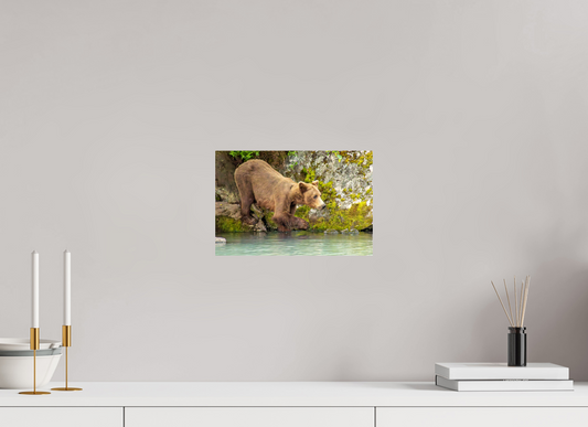 Testing the Waters Nature Photography Print