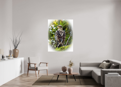 Forest Watch – Young Eagle Among the Pines Nature Photography Print