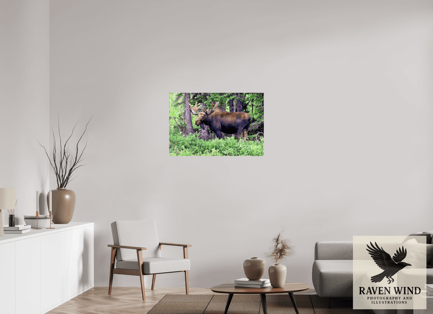 36 x 24″, Photo Print On Fuji Crystal DP II - unframed Watchful Moose Nature Photography Print