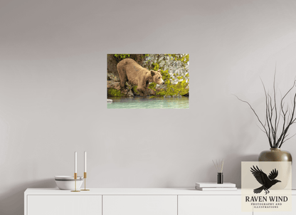 24 x 16″, Photo Print Under Acrylic Glass - ready to hang Testing the Waters Nature Photography Print
